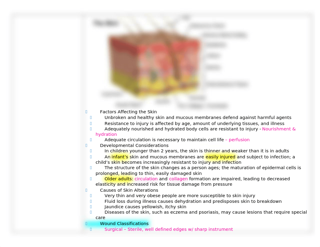 Chapter 33 - Skin Integrity and Wound Care Notes.docx_dwbfbiseryy_page2