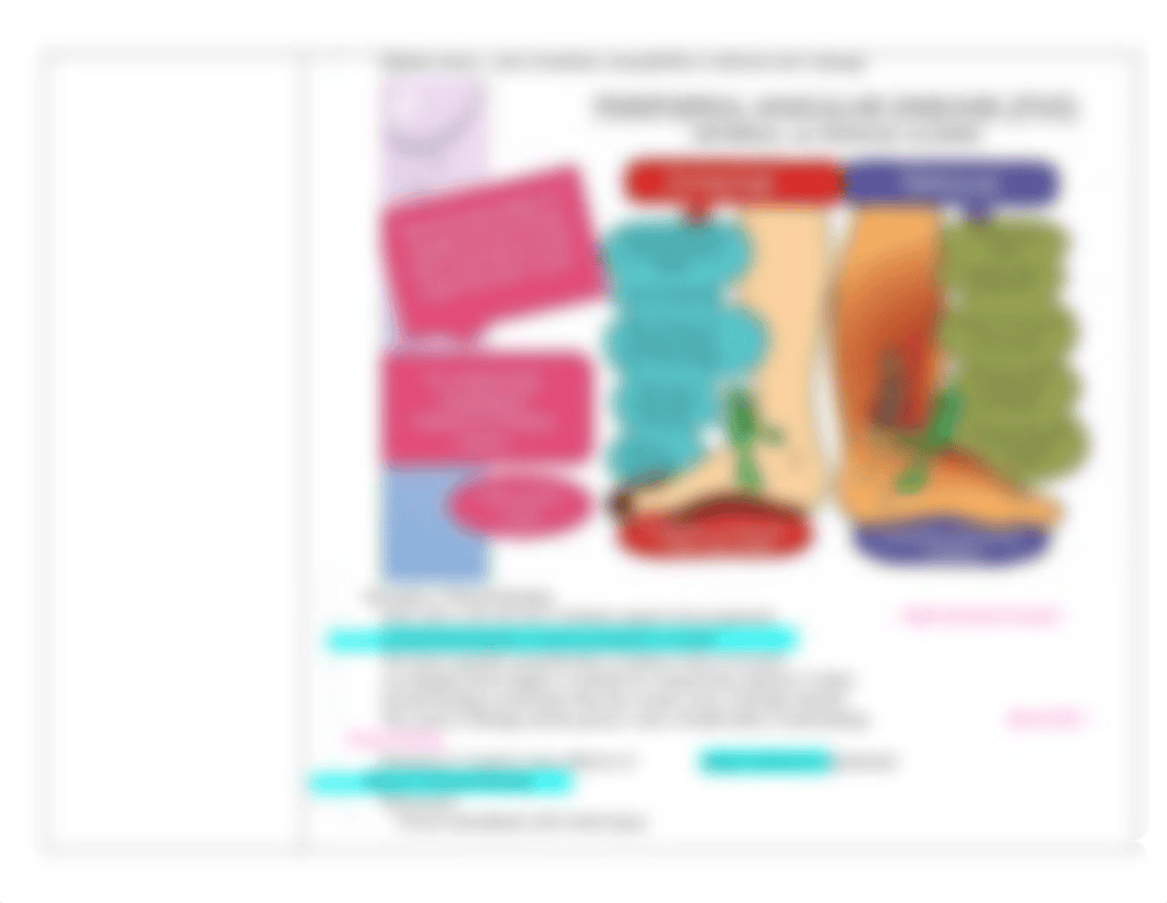 Chapter 33 - Skin Integrity and Wound Care Notes.docx_dwbfbiseryy_page4