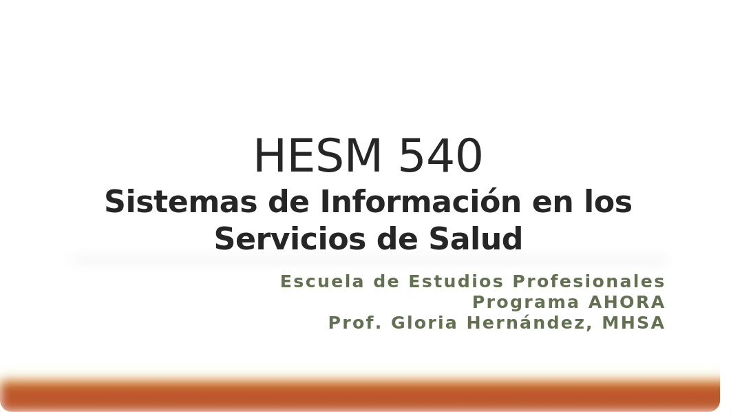 Taller 1 HESM 540.pptx_dwbgz1b9s3o_page1