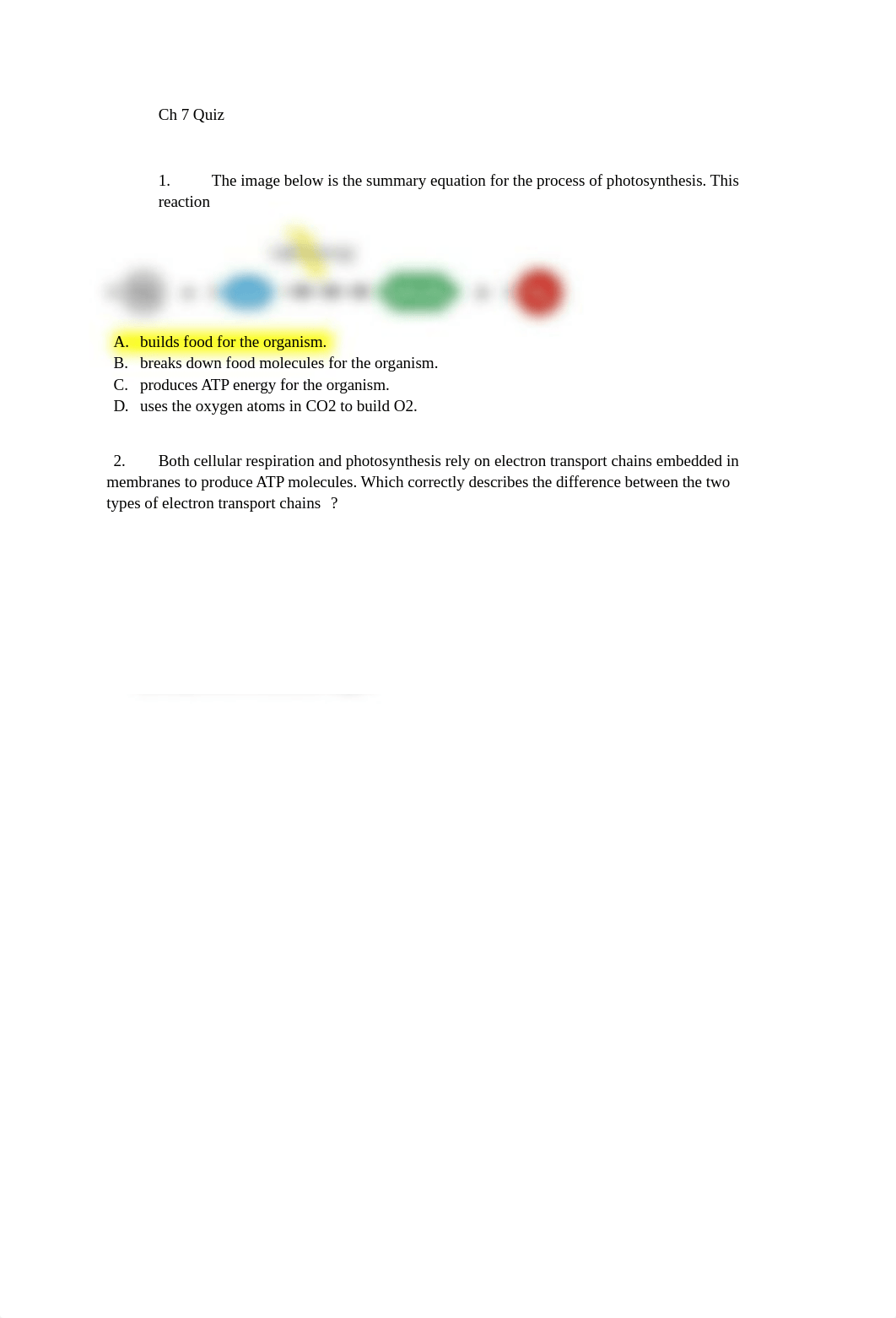 Ch 7 Quiz.docx_dwbi147rjzt_page1