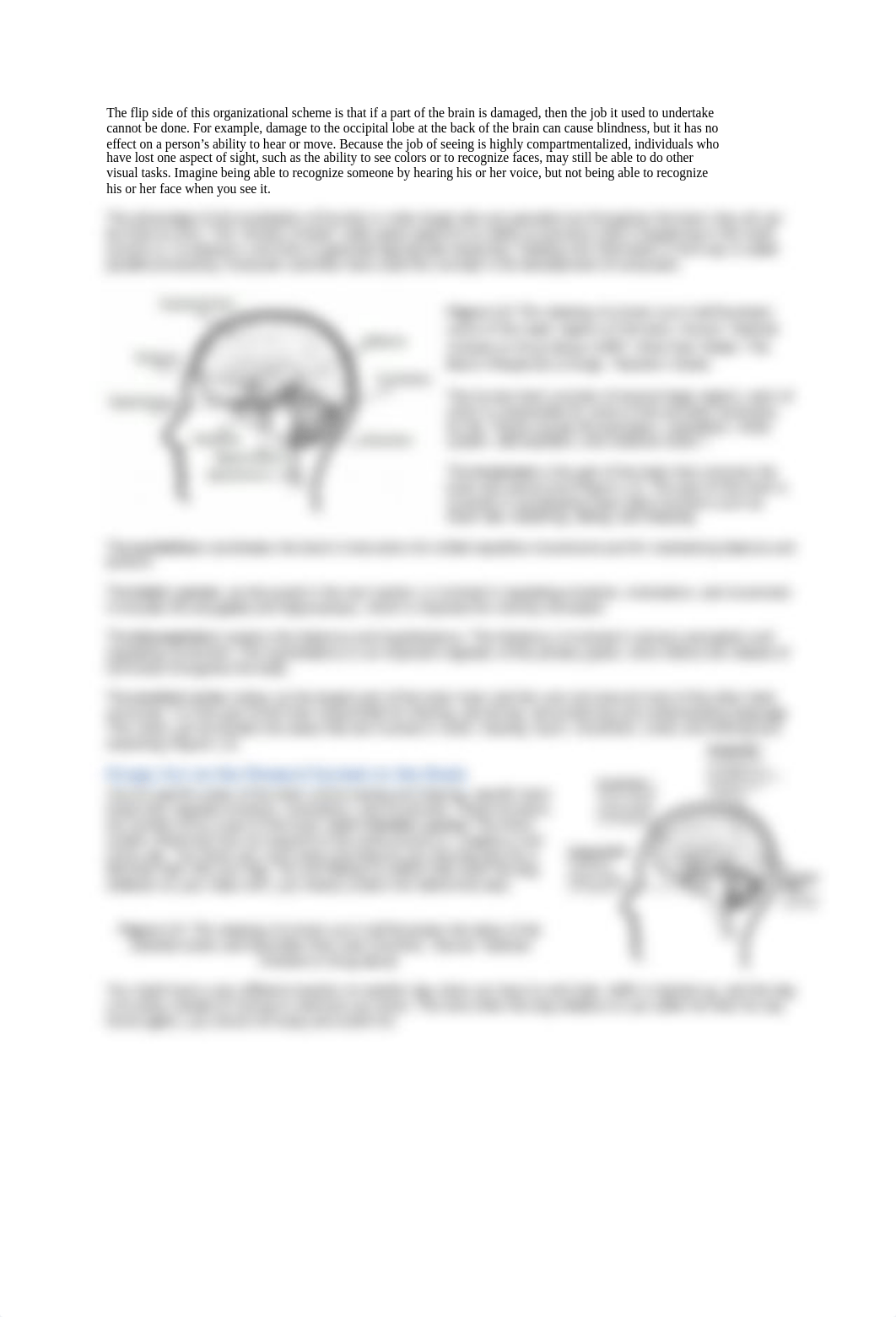 Limbic System Assignment.docx_dwbkxdjnoum_page2