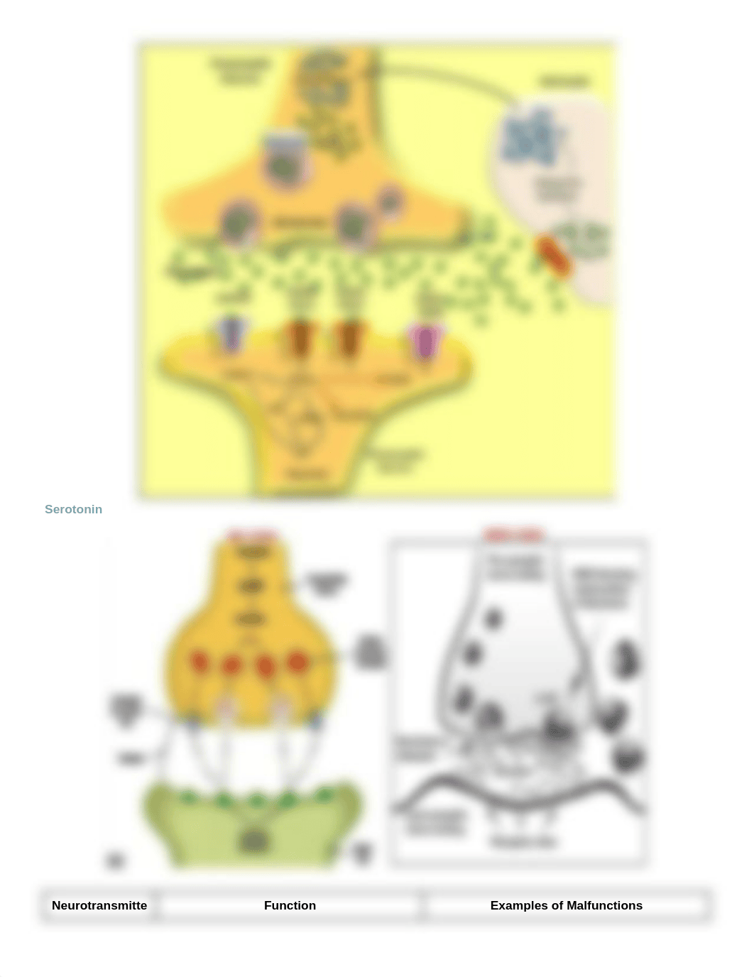 N315 - CNS Drugs.docx_dwbmex4dfz4_page4