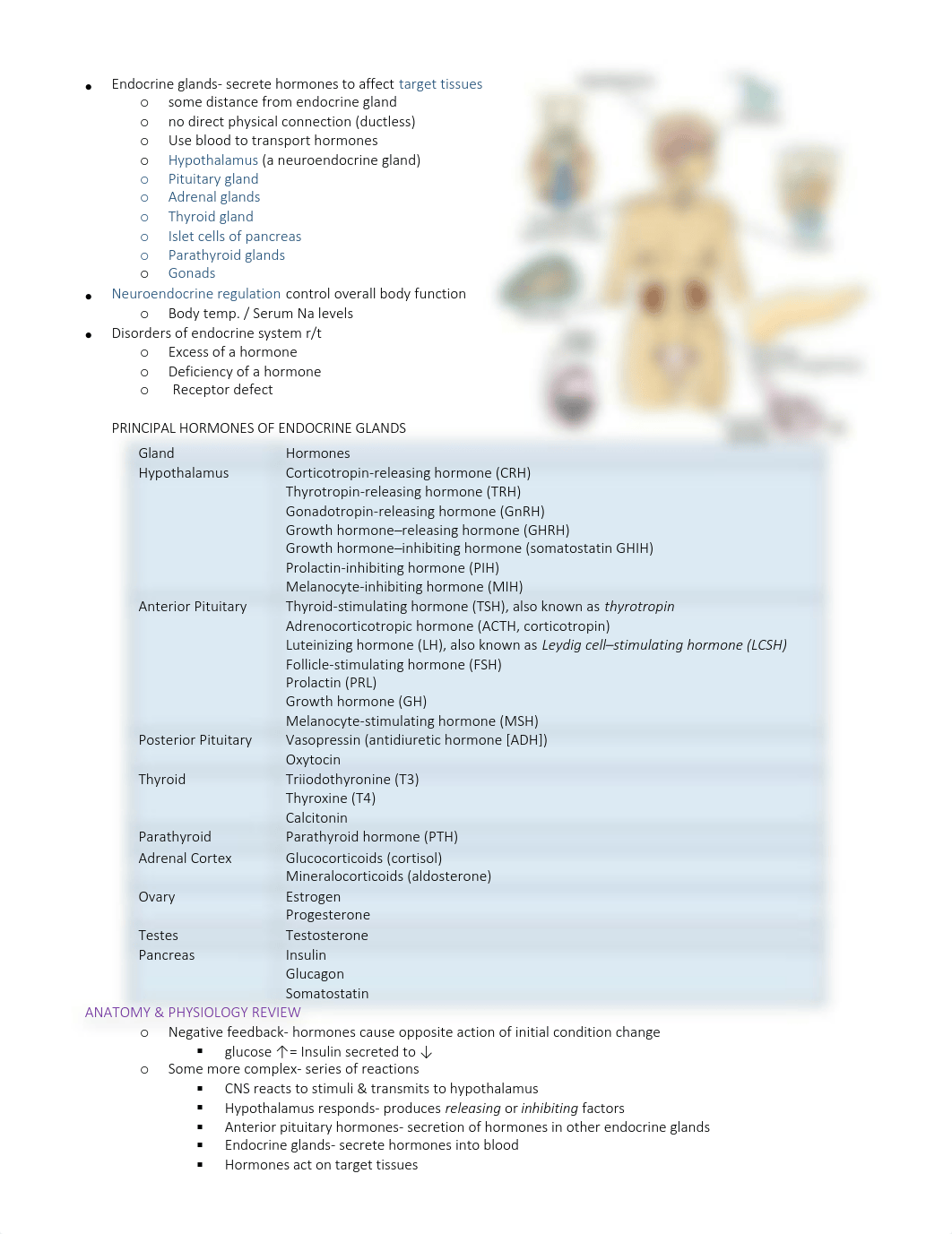 My Notes- Assessment of the Endocrine System_dwbtr4krz3w_page1