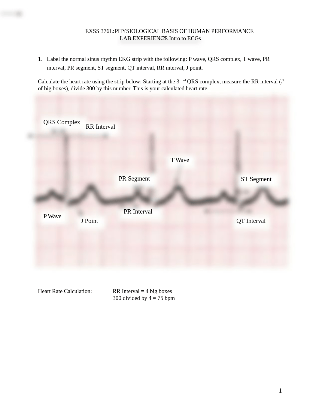 Lab 2 EKG.docx_dwbuq0oe04m_page1