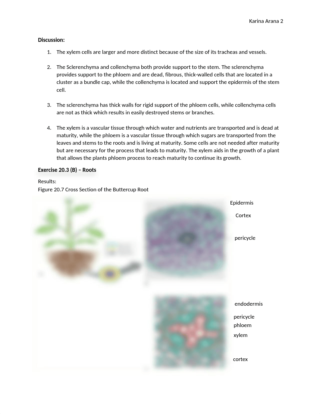 Botany Lab 20.3.docx_dwcgj06uojo_page2