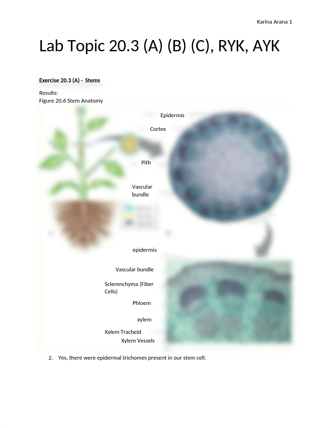 Botany Lab 20.3.docx_dwcgj06uojo_page1