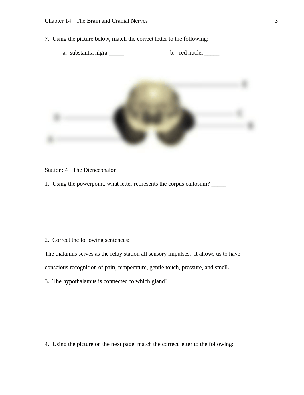 Chapter 14 Brain and Cranial Nerves Lab.pdf_dwcgzet1d31_page3