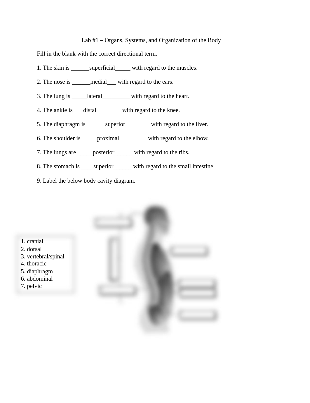 Lab 1 Lab Report-1.docx_dwcp0epp079_page1