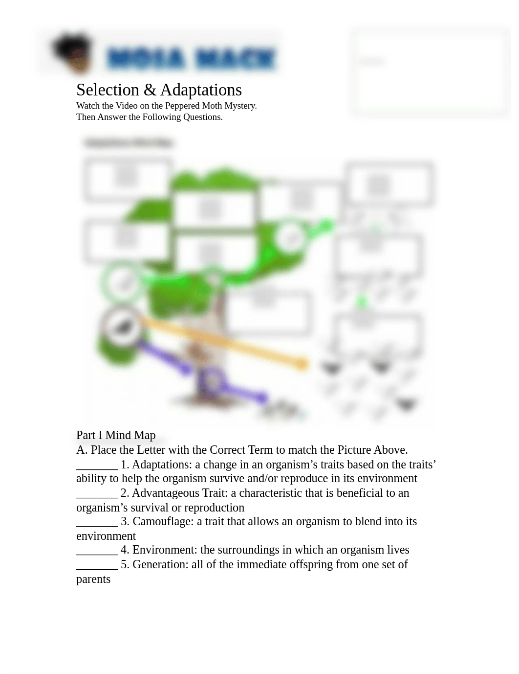 mosa_mack_selection___adaptations (1).docx_dwcptvyo1zh_page1