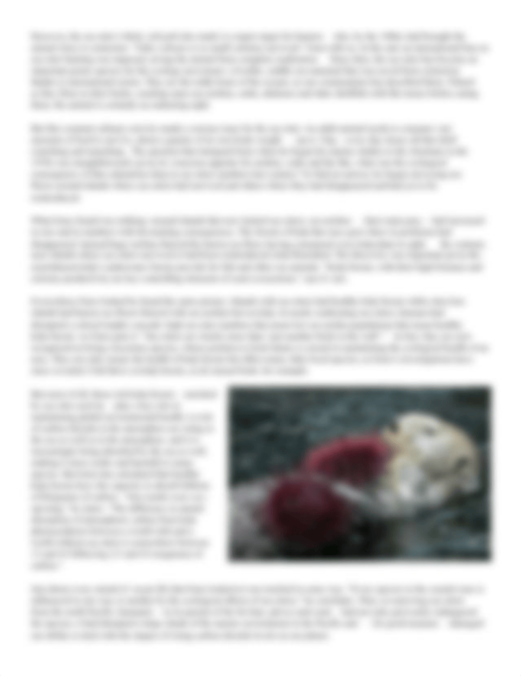 How_Sea_Otters_Save_Planet_Worksheet.pdf_dwczud6zwim_page2