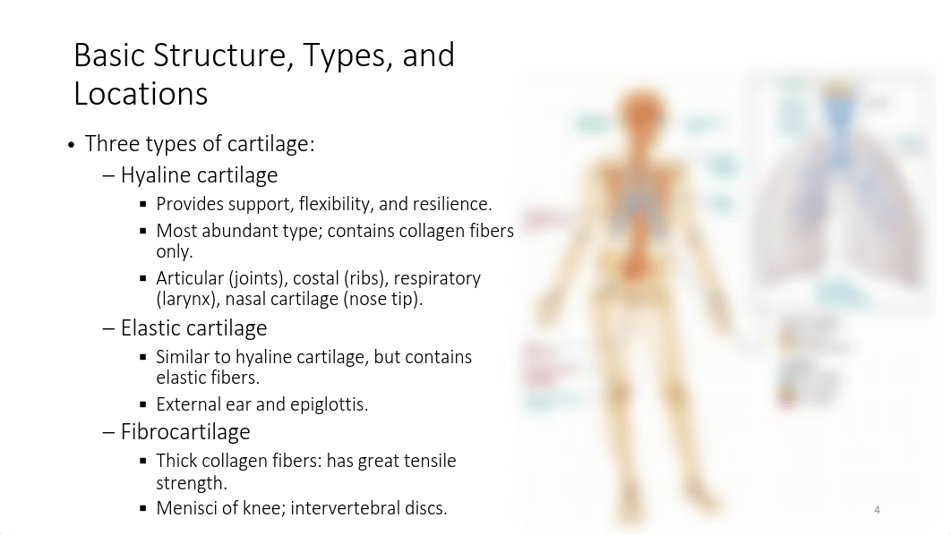 Bones and Skeletal Tissues part 1.pdf_dwdcoh0f6ja_page4