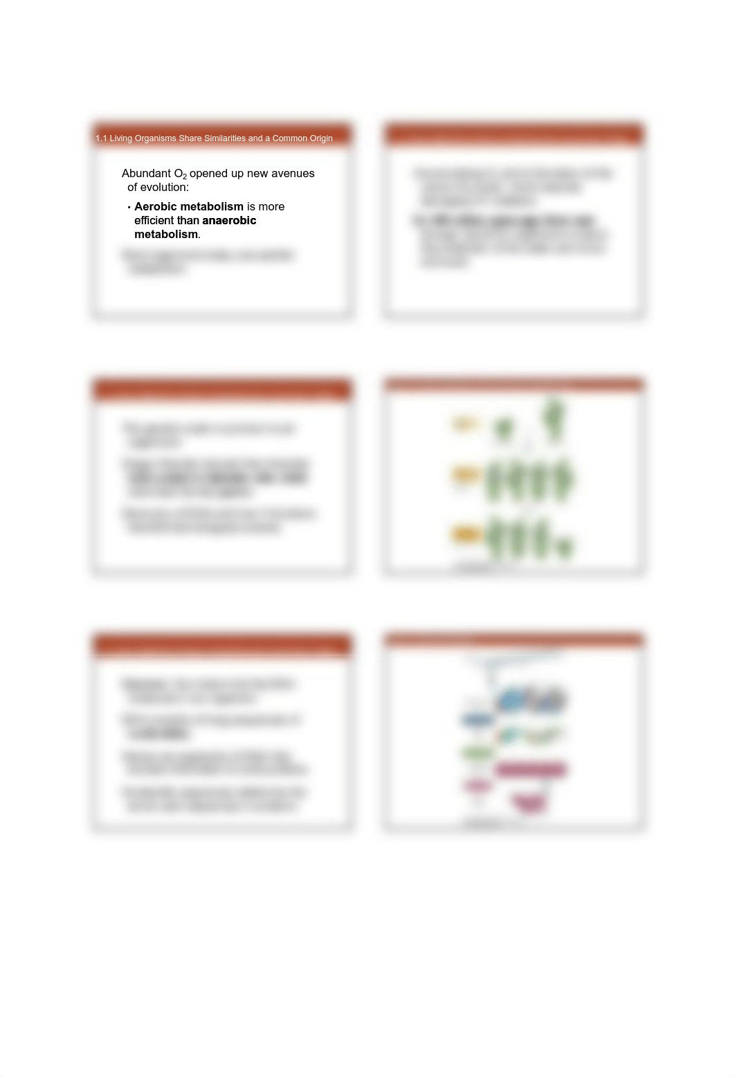 life11e_ch01_lecture  Printable bio 102.pdf_dwdemodabyw_page3