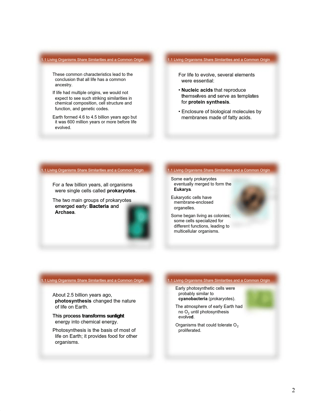 life11e_ch01_lecture  Printable bio 102.pdf_dwdemodabyw_page2