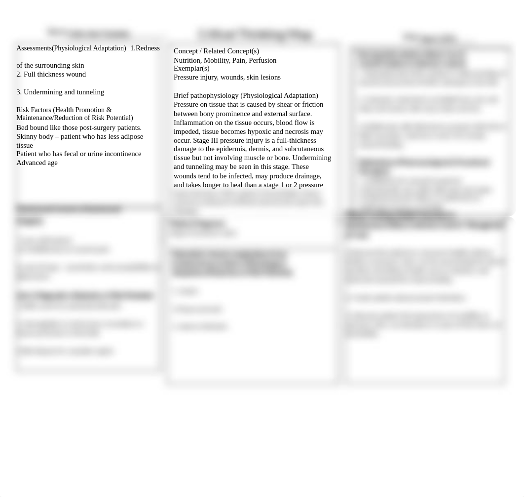 stage 3 pressure ulcer concept map.docx_dwdhqojebzx_page1