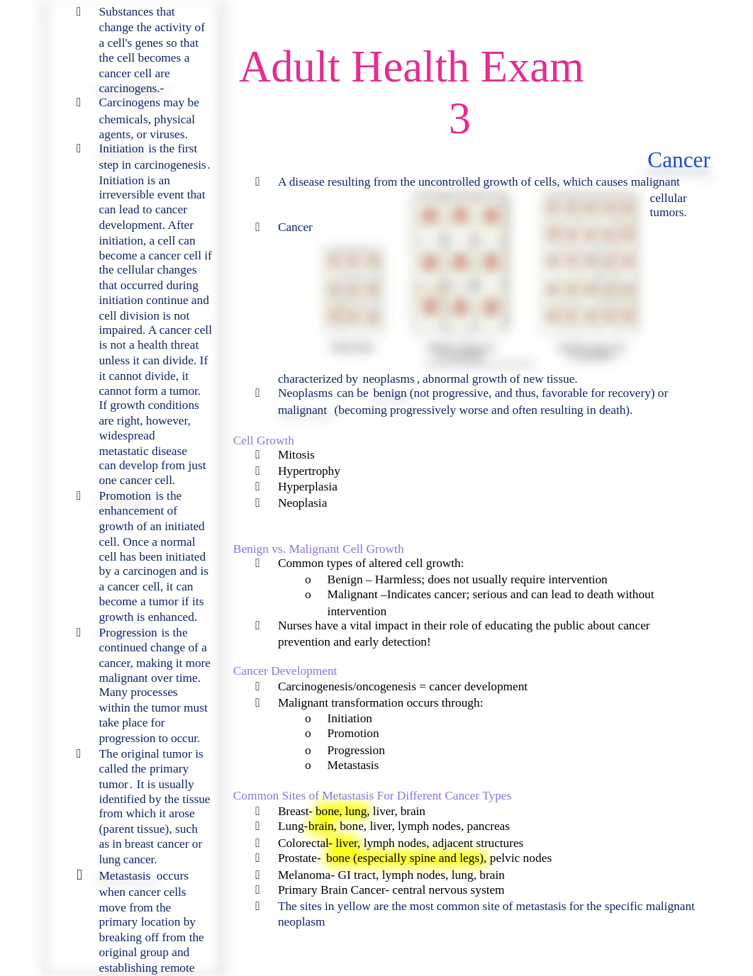 Adult Health Exam 3.docx_dwdioxyst74_page1