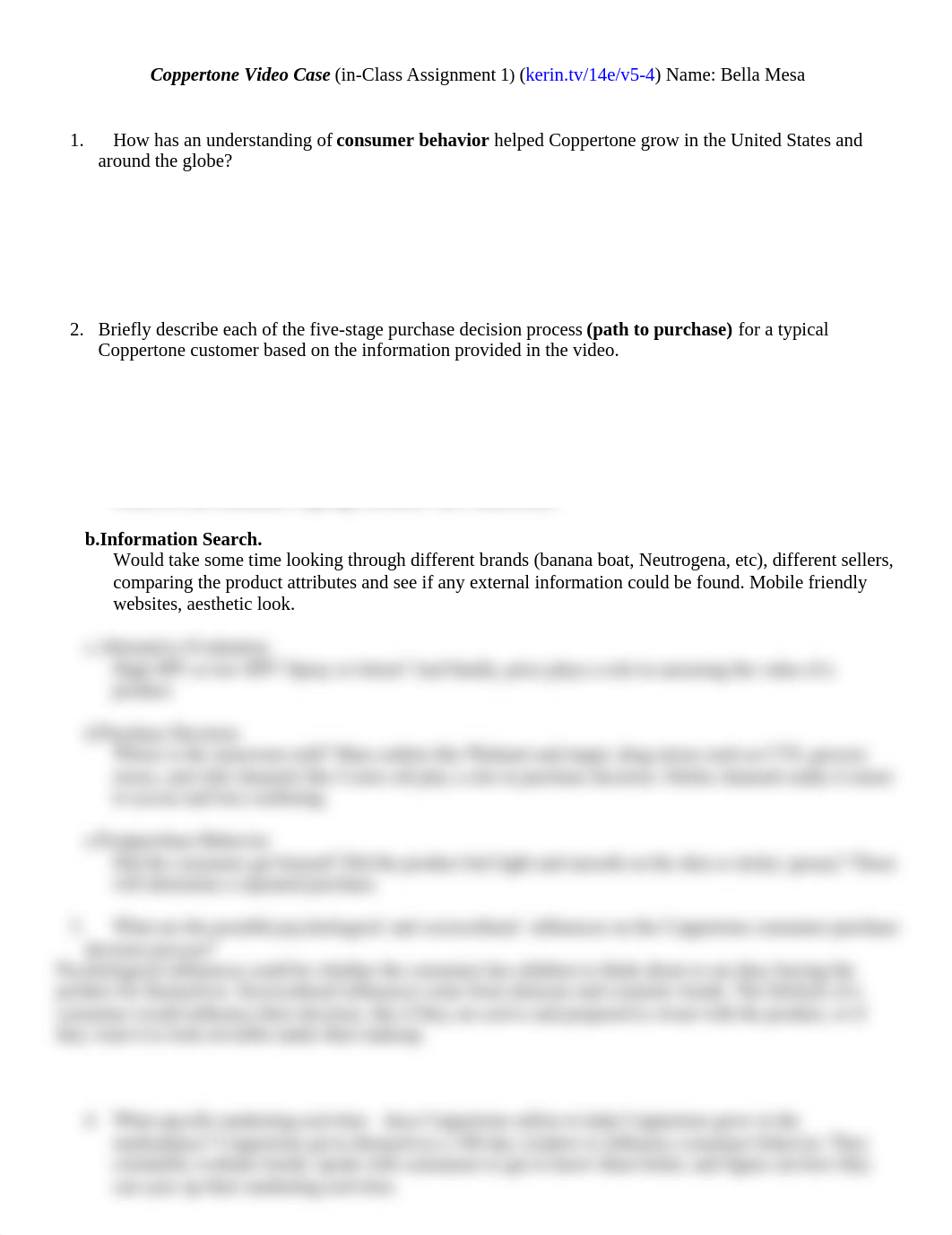 Coppertone Video Case (Questions)_Class Assignment 1.doc_dwdl0e209li_page1