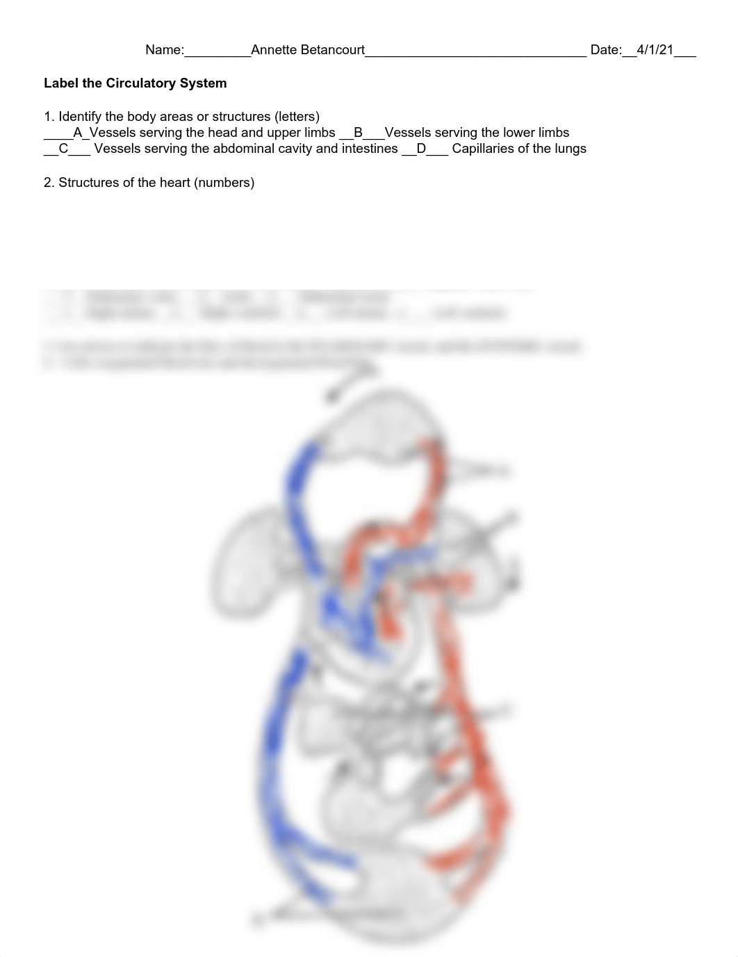 Label the Circulatory System.pdf_dwdyyg29gt3_page1