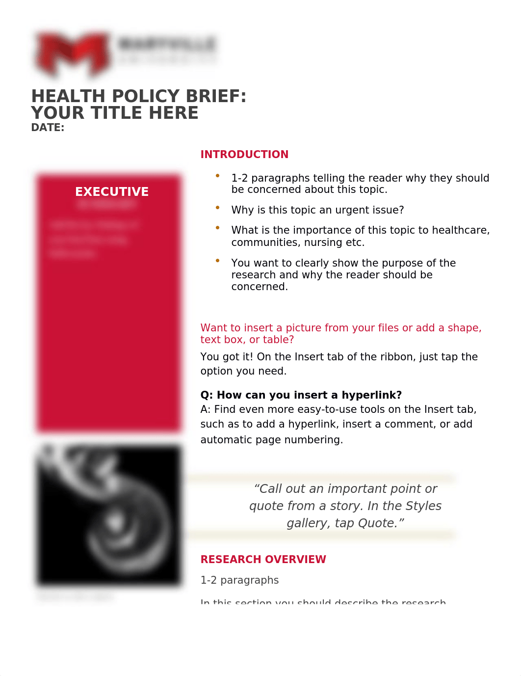 Health_Policy_Brief_Template .docx_dwe4vns4vcl_page1