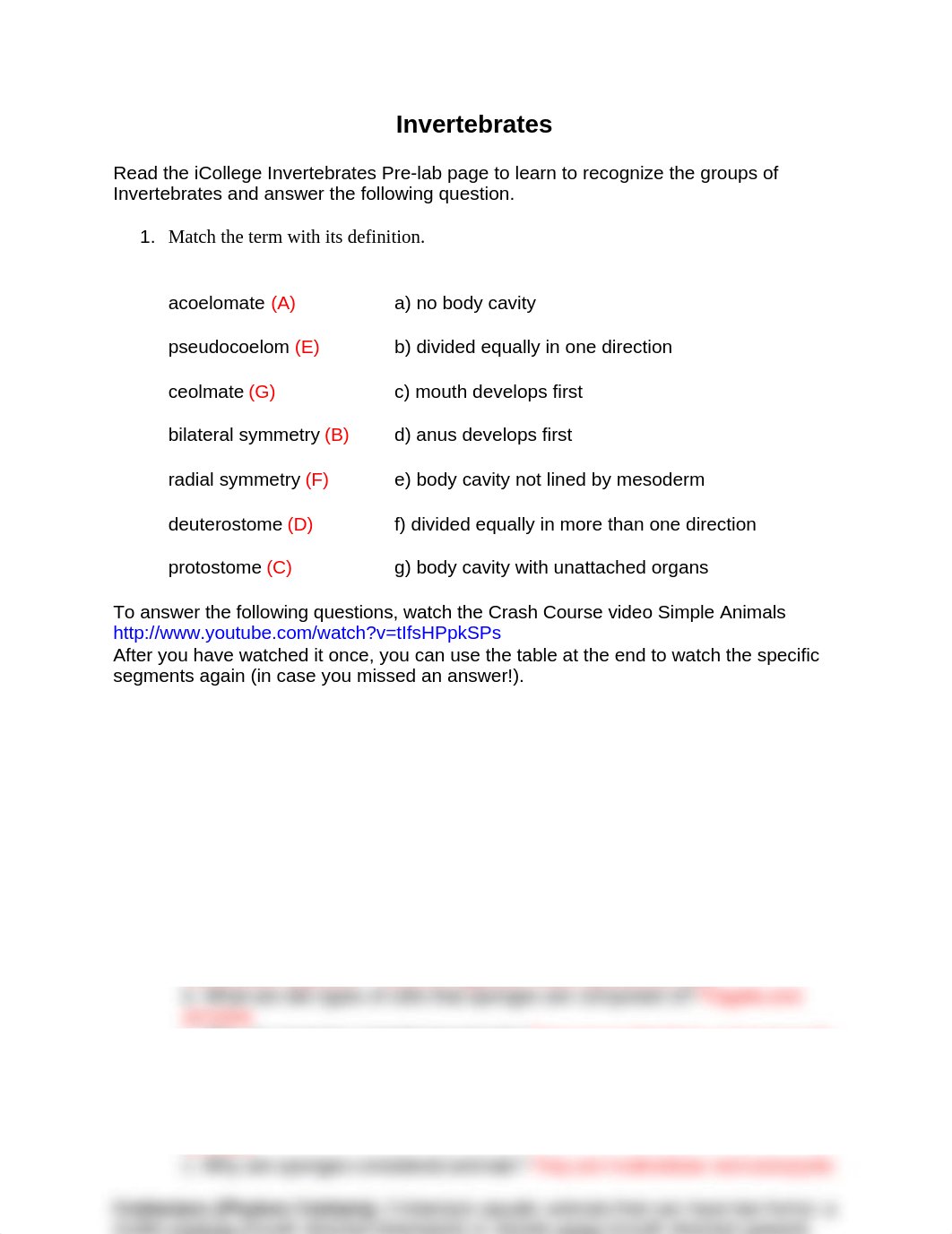 Invertebrates Lab Activity Worksheet.doc_dwe6i4gfr1w_page1