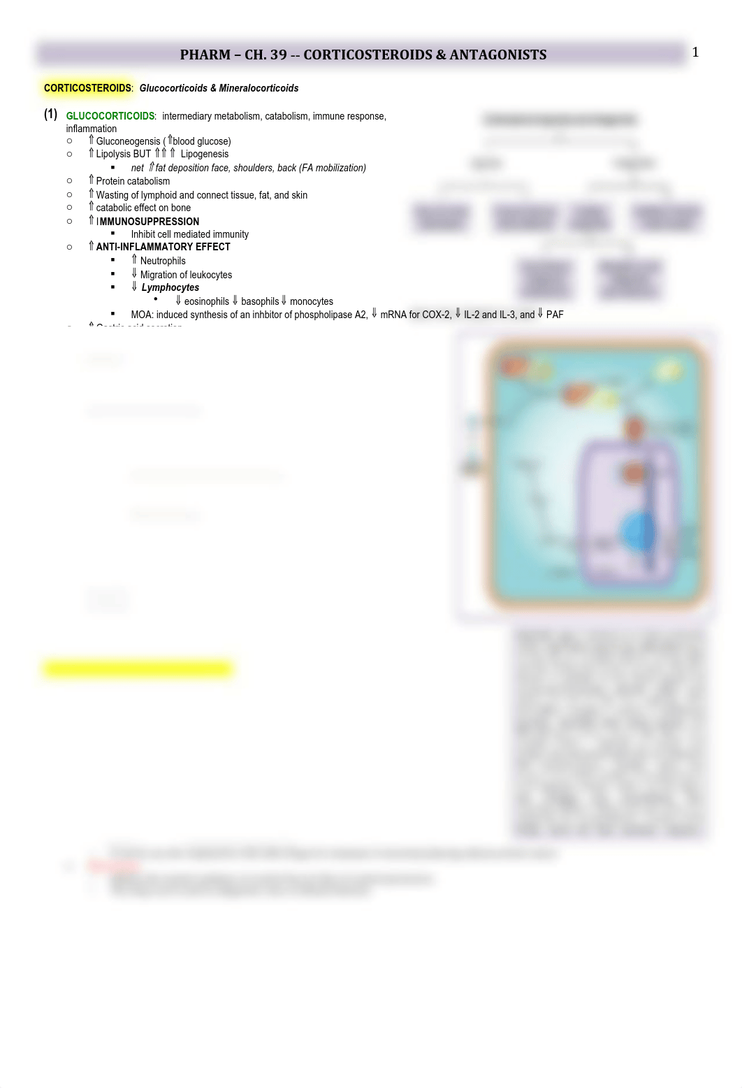 Pharm - 39 - Corticosteroids & Antagonists - BL_dwe7ygrqoro_page1