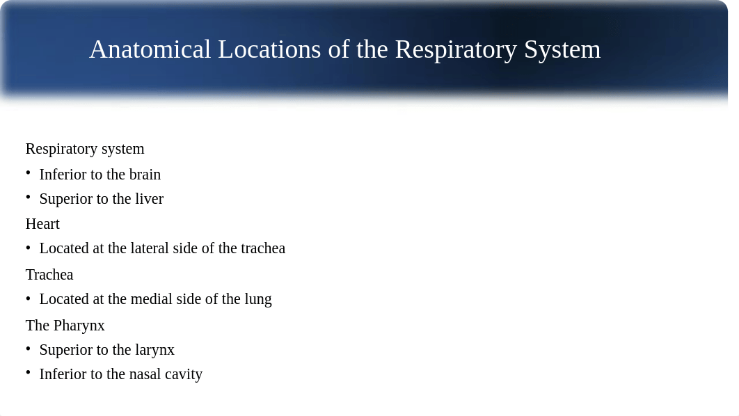 vargasbanuelos.felix_Project Assignment My System Analysis Final Presentation.pptx_dwe9s9lzvzh_page4