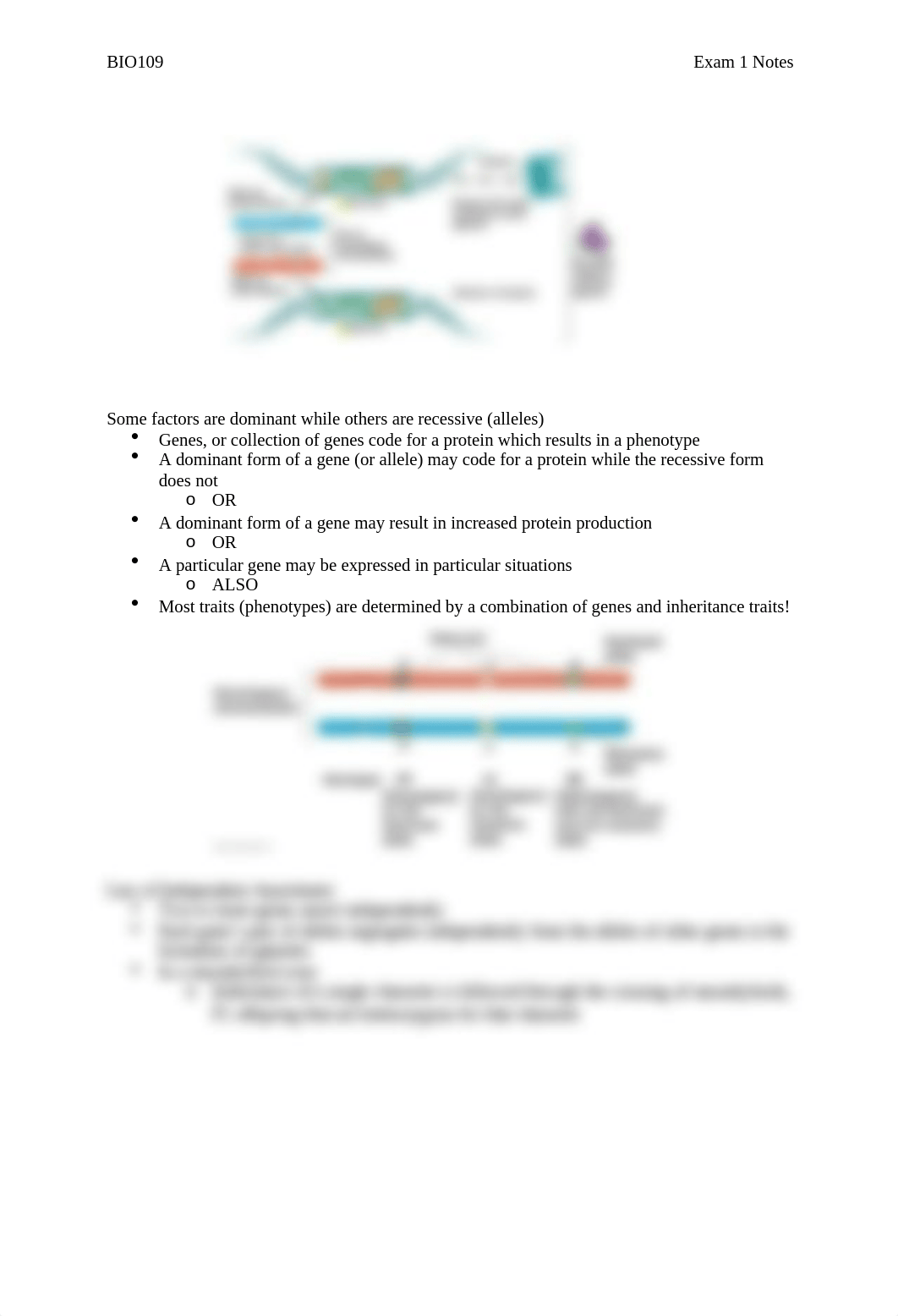 BIO109 Exam 1 Notes.docx_dwefjwljpam_page3