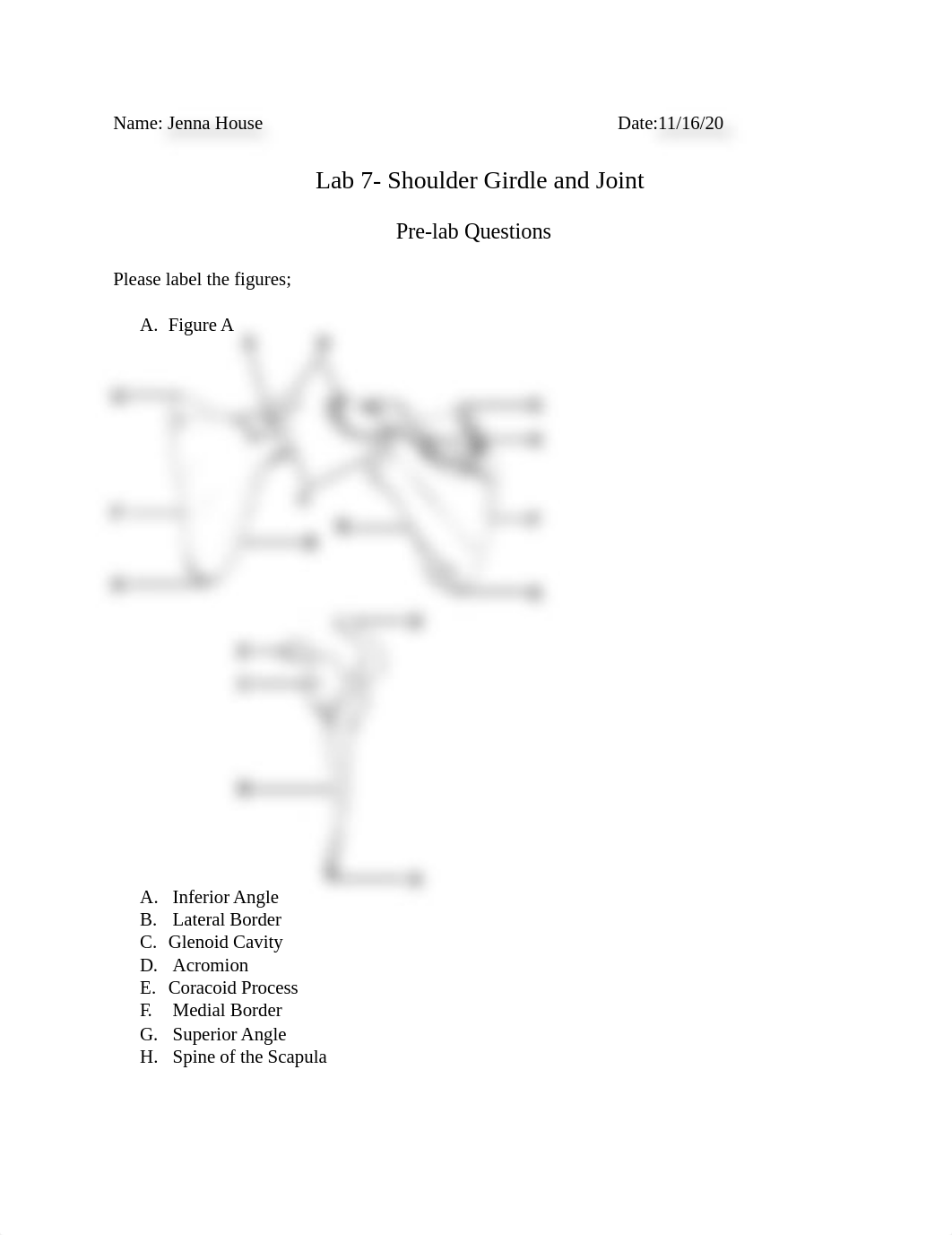 SPM 381 Lab 7- Shoulder Girdle and Joint.docx_dweh0vzk1gu_page1