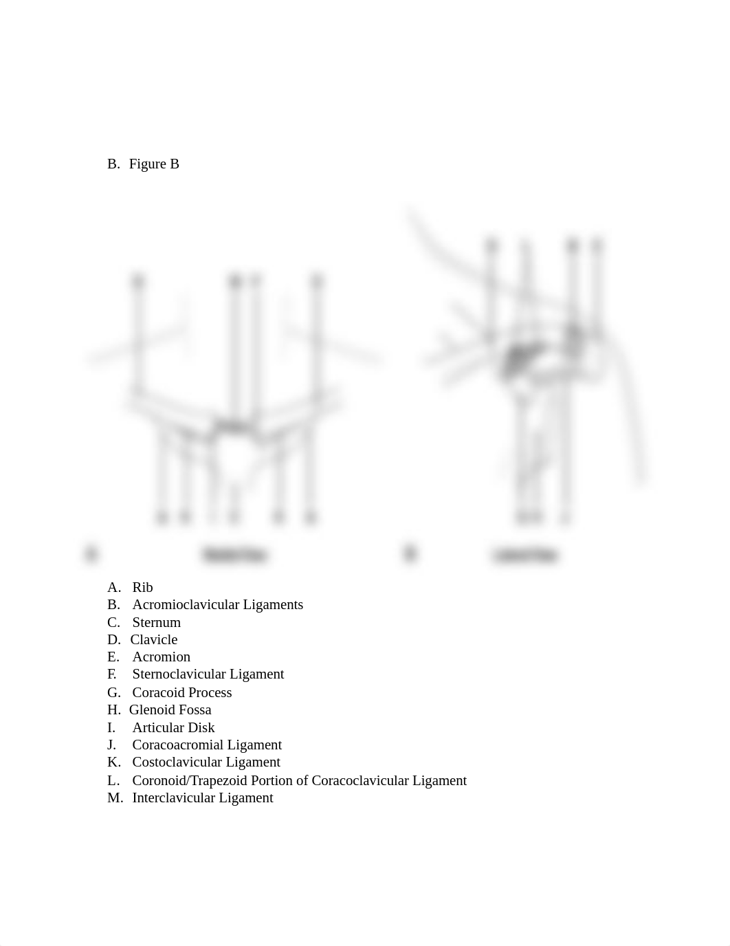 SPM 381 Lab 7- Shoulder Girdle and Joint.docx_dweh0vzk1gu_page2