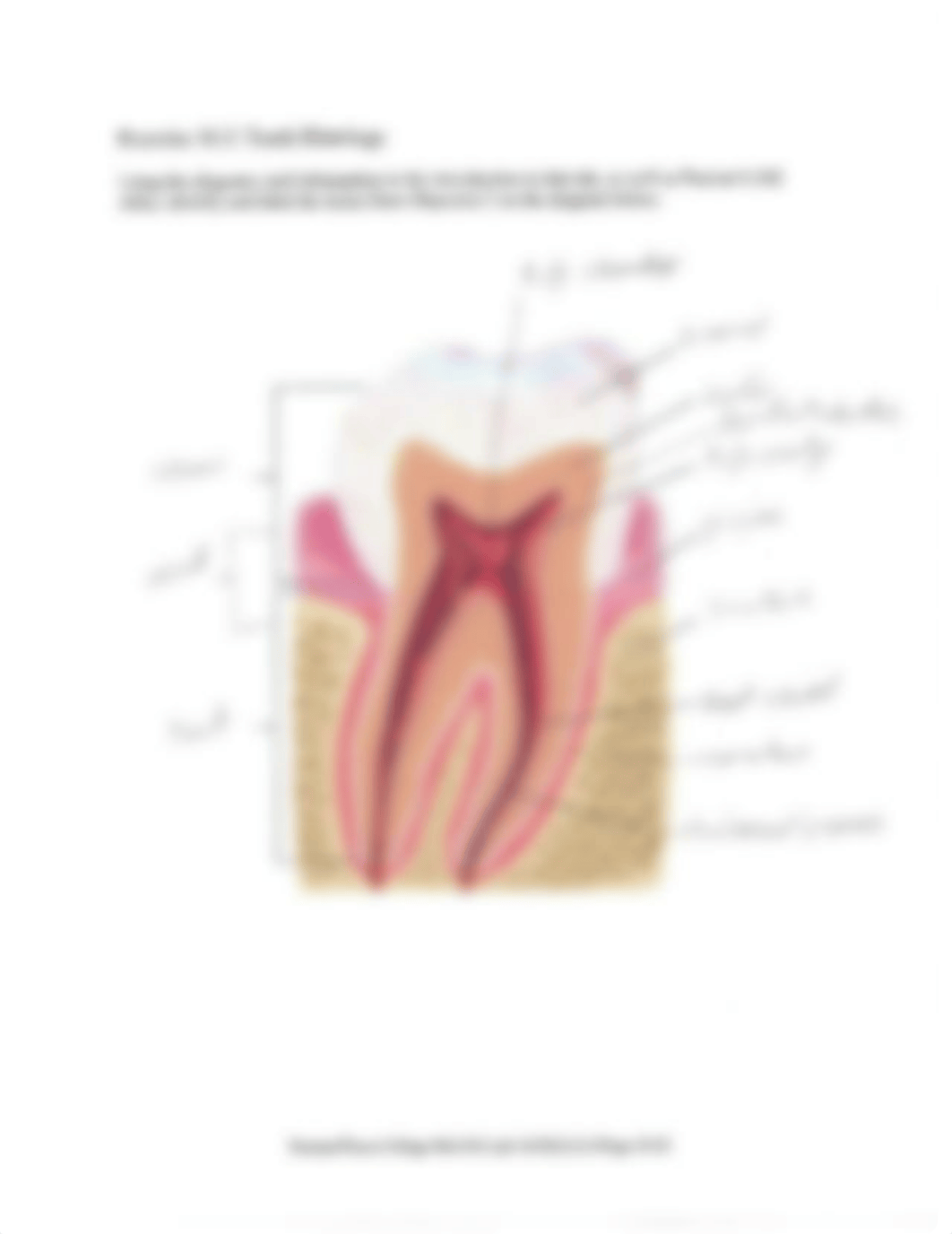 Lab_10_KW.pdf_dweuwljbvom_page4