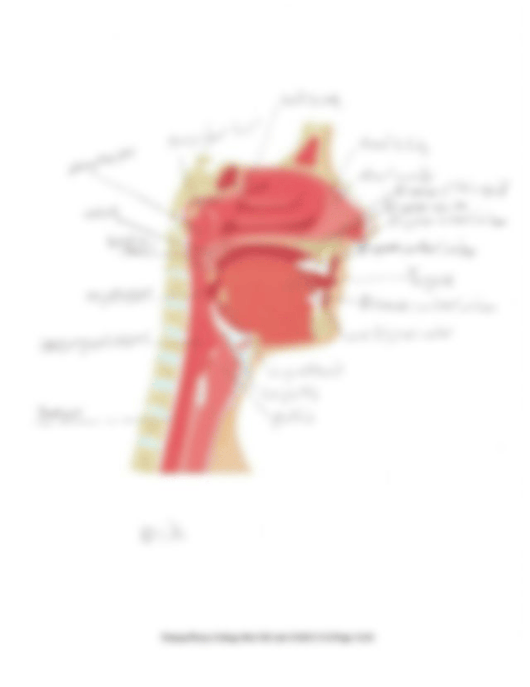 Lab_10_KW.pdf_dweuwljbvom_page2