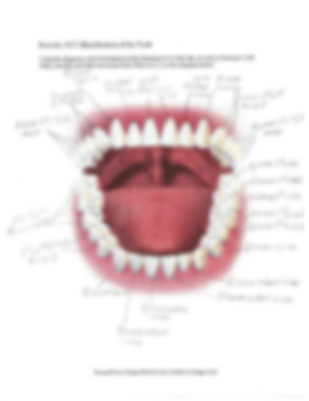 Lab_10_KW.pdf_dweuwljbvom_page3