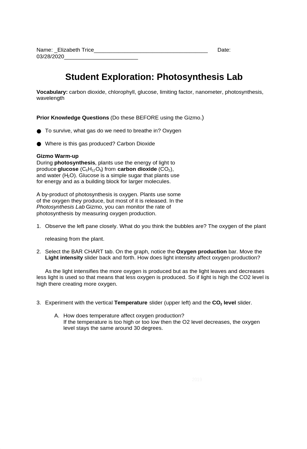 Photosynthesis Lab Worksheet.docx_dwf09l9lbvu_page1