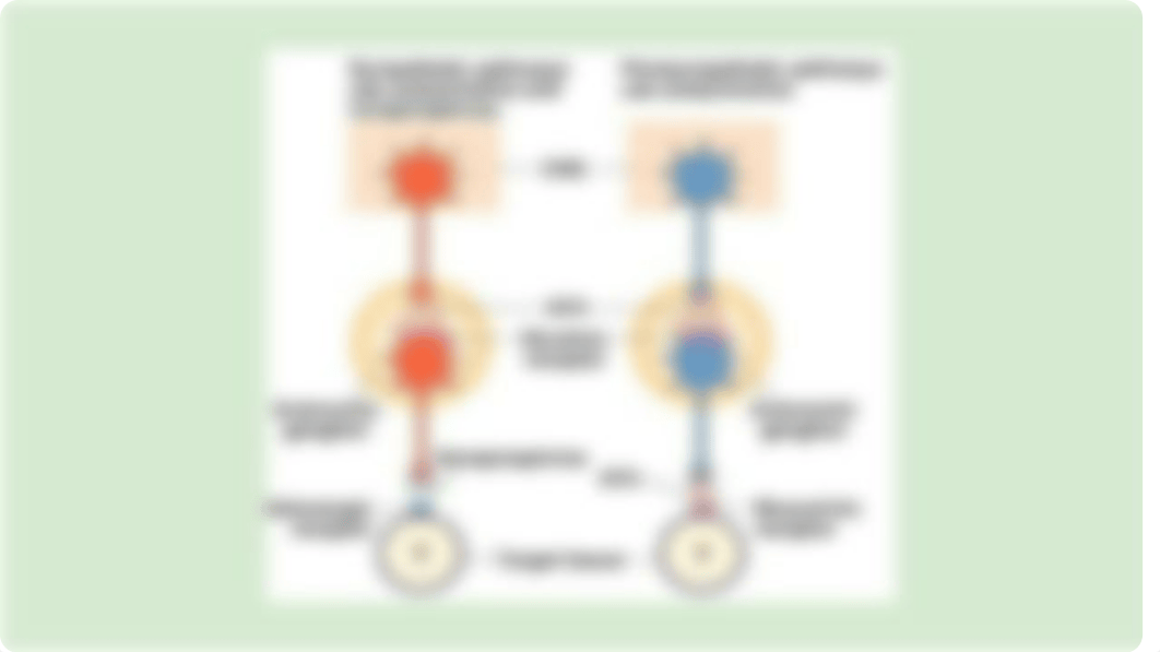 Pharmacology- Exam 1-3 tooooter.pptx_dwf9y6ezo0e_page3