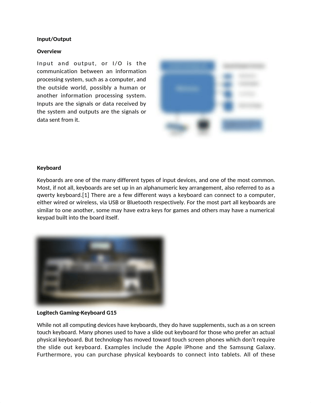 Input-and-Output-devices-1.docx_dwfayujm45r_page1