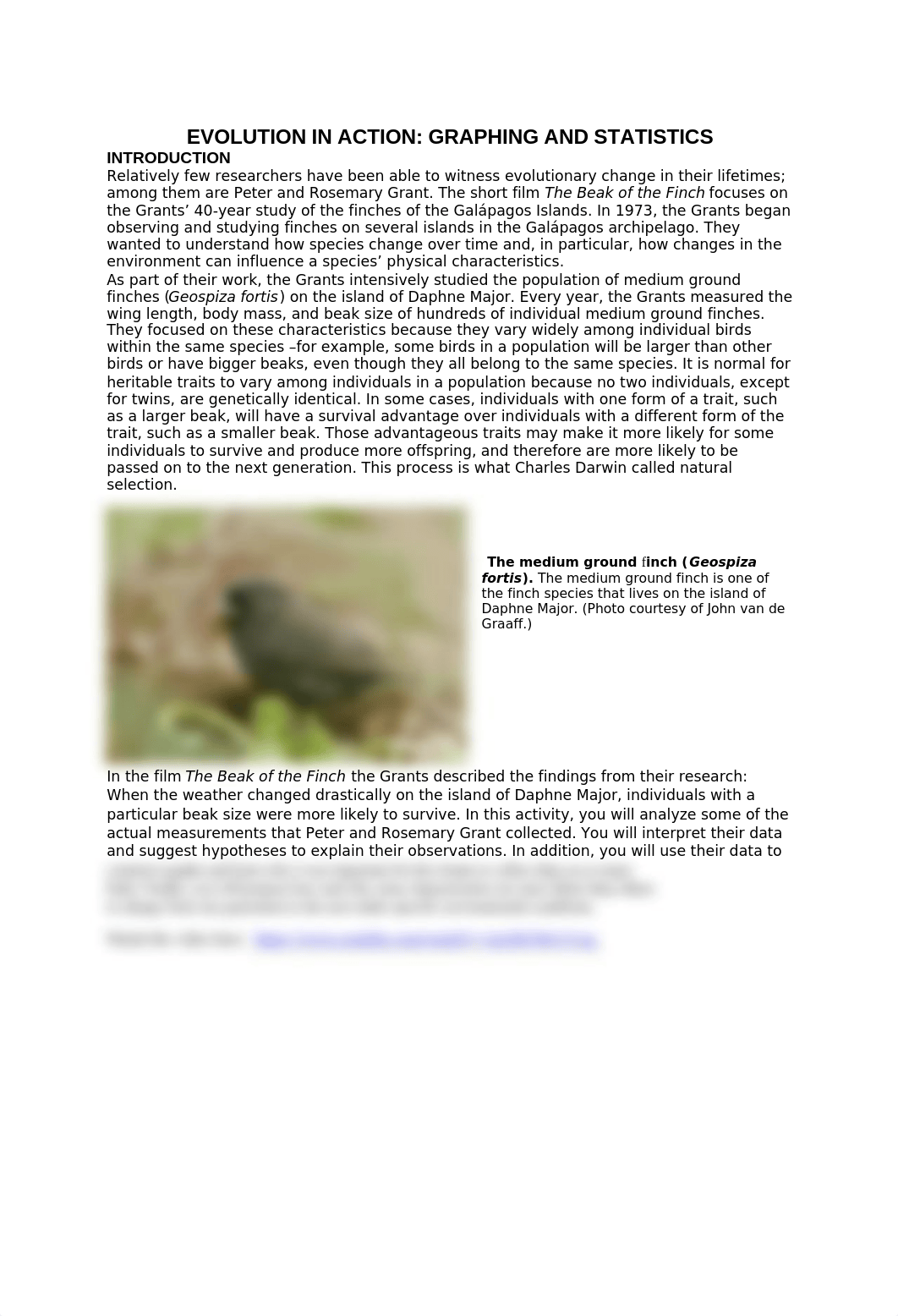 Darwin's Finches.docx_dwfccf4bprg_page1