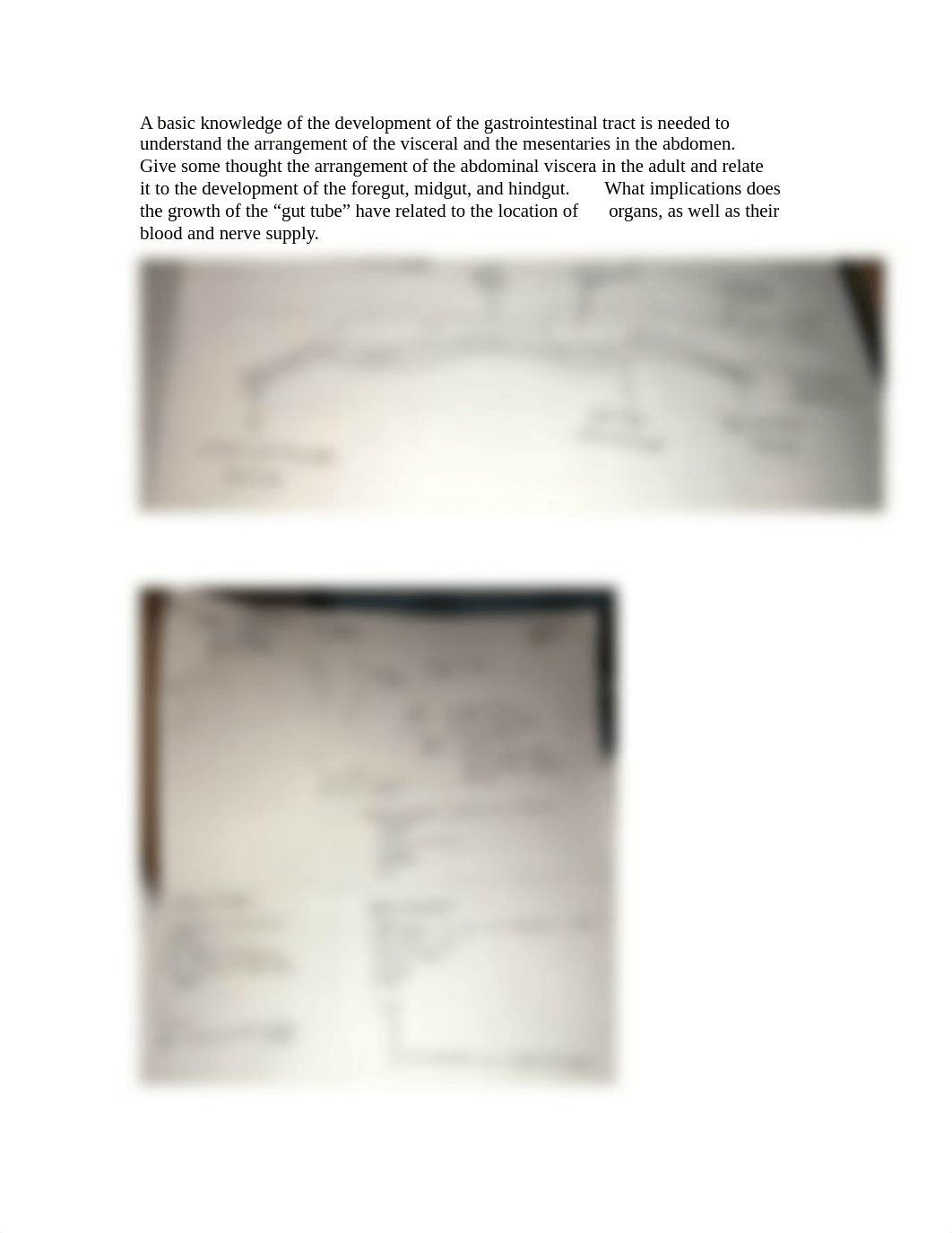 Review Questions from Abdomen and Pelvis and Perineum.pdf_dwfg9m5uxwf_page2