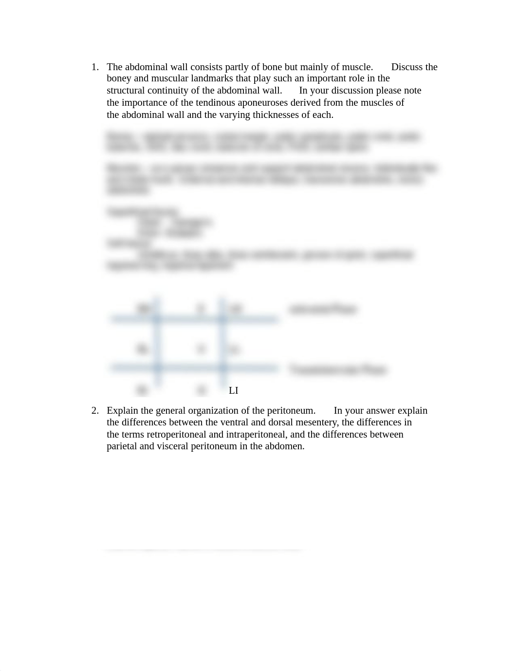 Review Questions from Abdomen and Pelvis and Perineum.pdf_dwfg9m5uxwf_page1