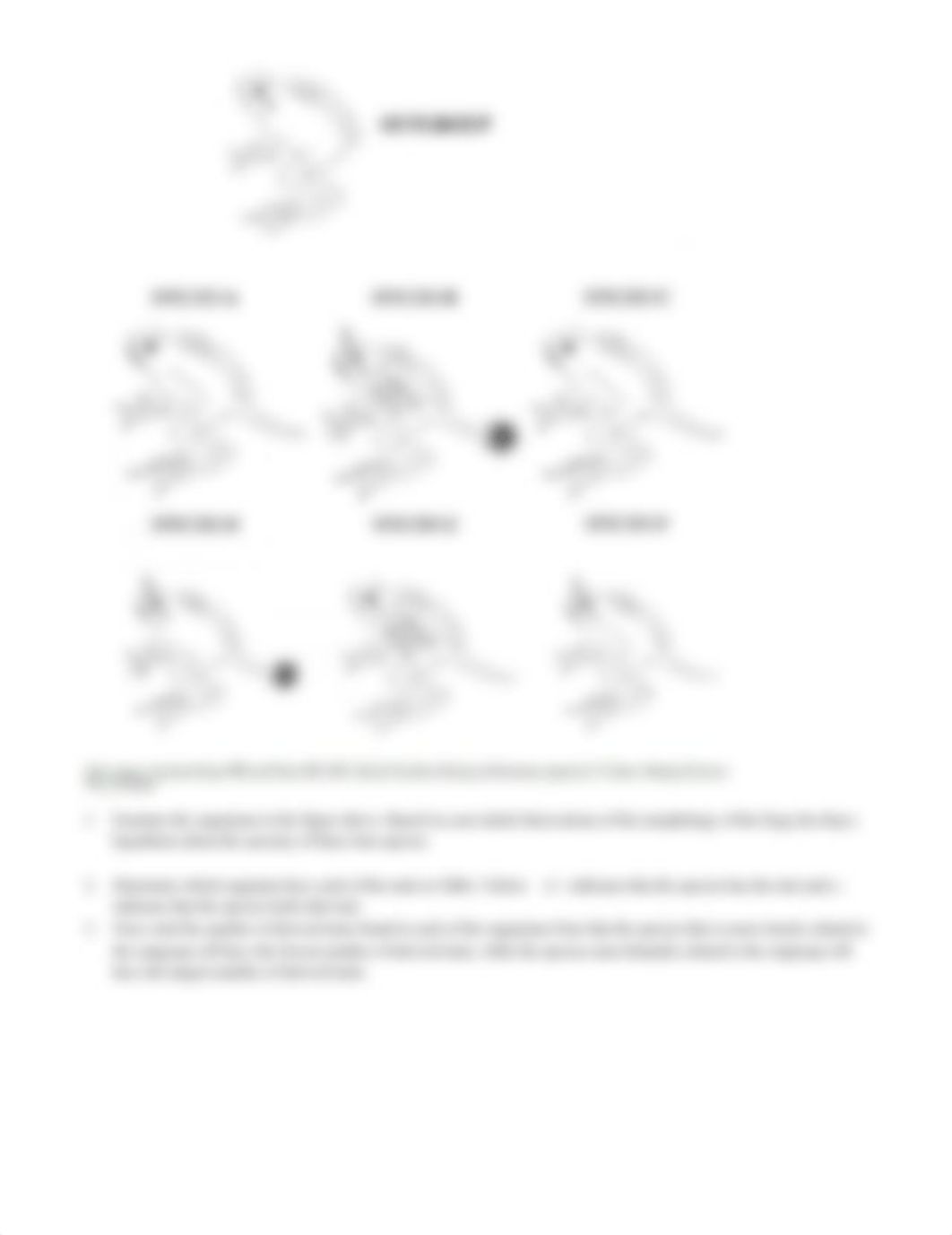 Phylogenetic Systematics Lab (1).docx_dwfj6xlwrji_page2