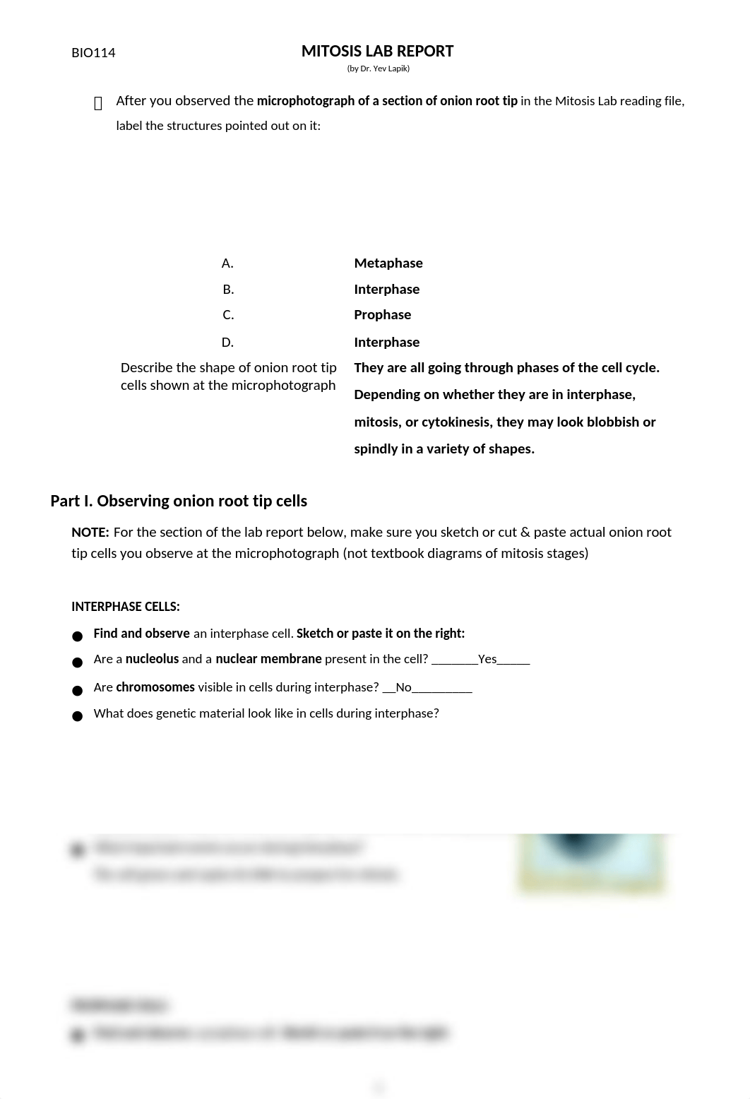 MITOSIS LAB.docx_dwfot0s42jn_page1