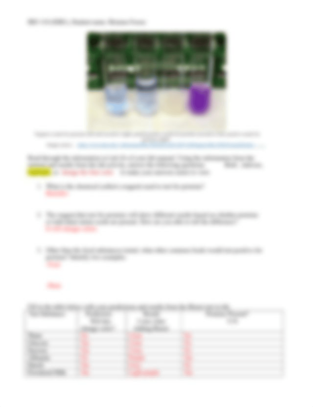 BiologicalMacromoleculesLab (1).docx_dwfyrpreu19_page4