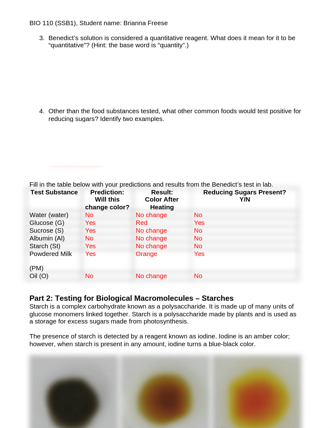 BiologicalMacromoleculesLab (1).docx_dwfyrpreu19_page2