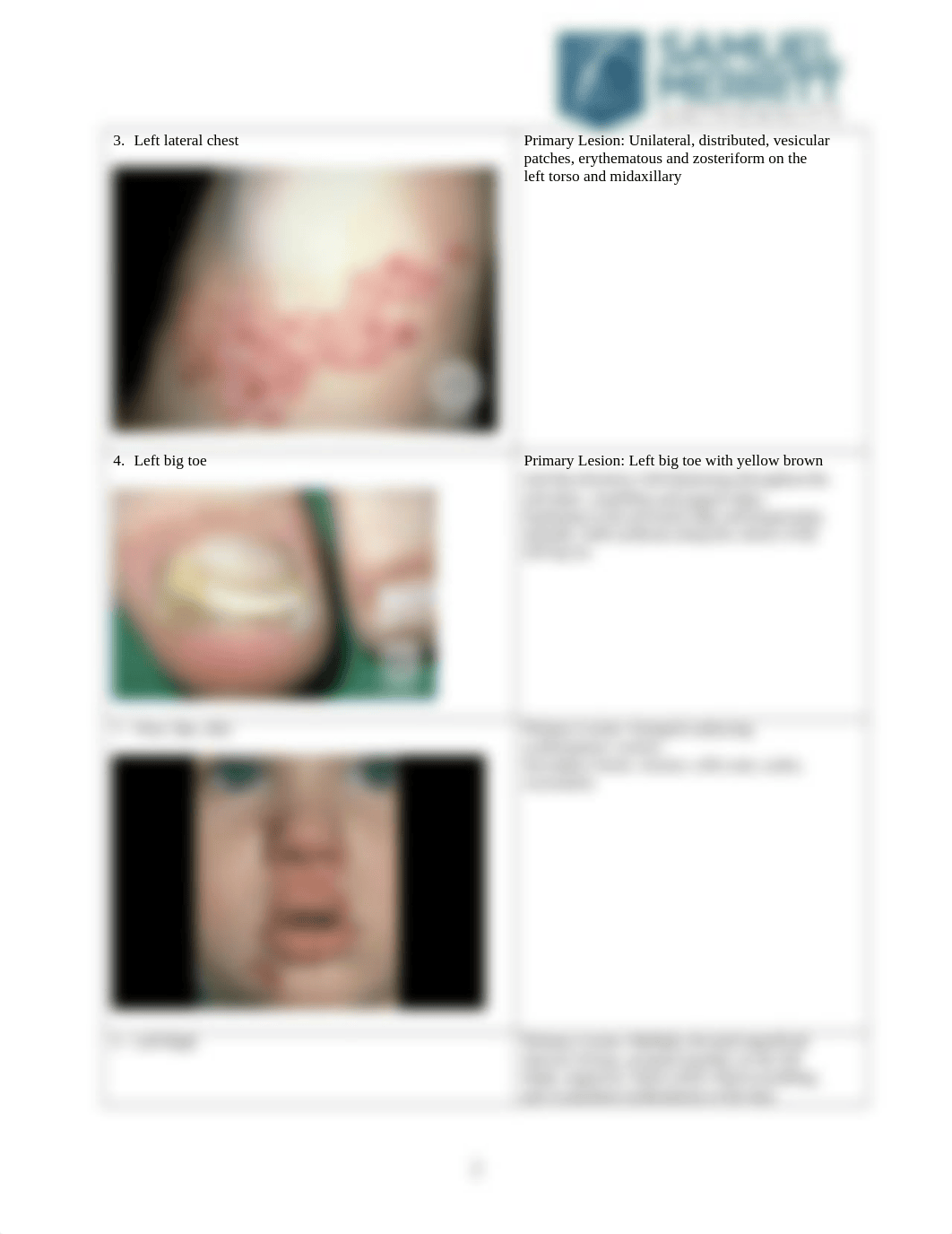 Dermatologic Conditions Descriptions Worksheet.docx_dwg04t07mht_page2