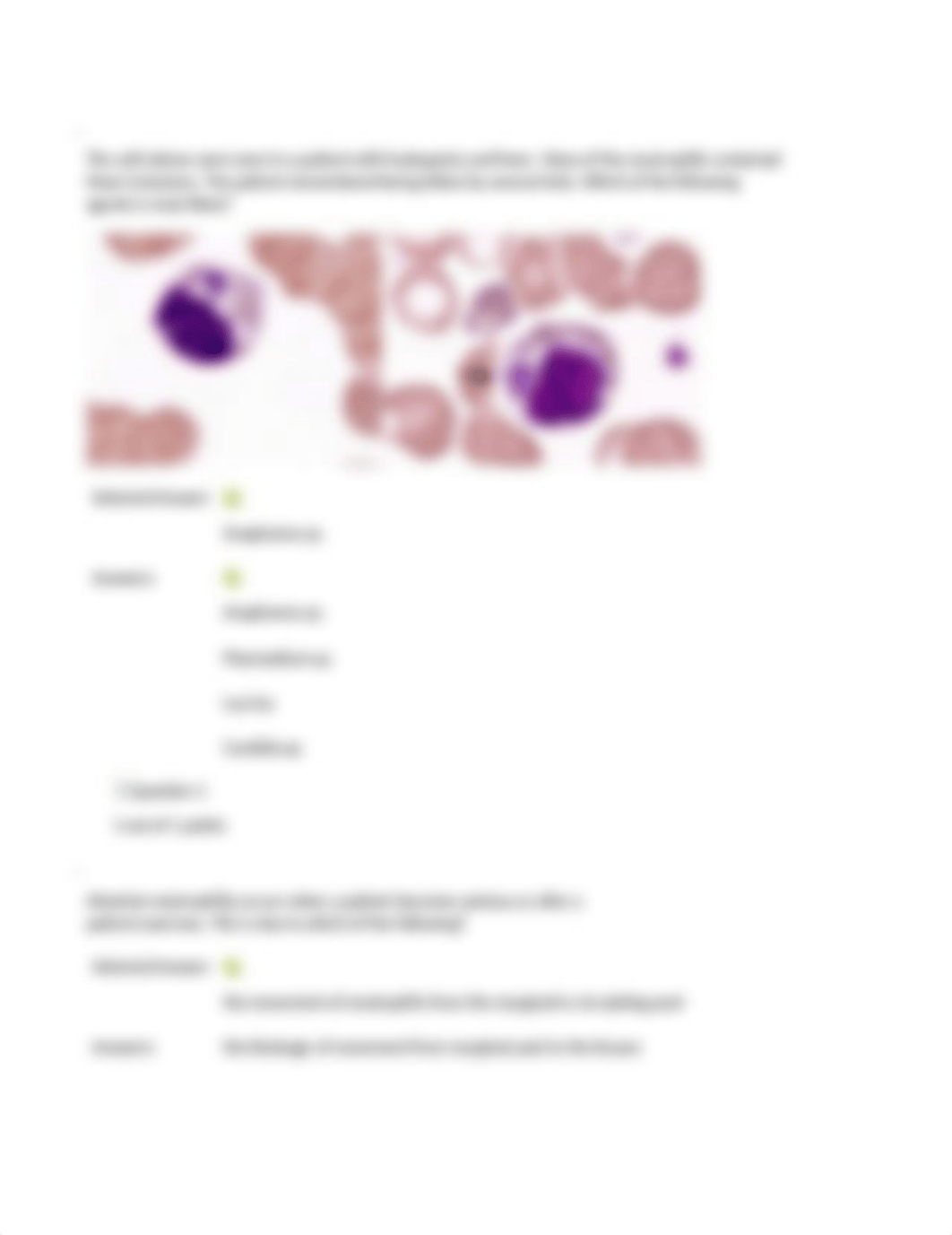 Advanced Heme Quiz 1.docx_dwg0vsnlarg_page3