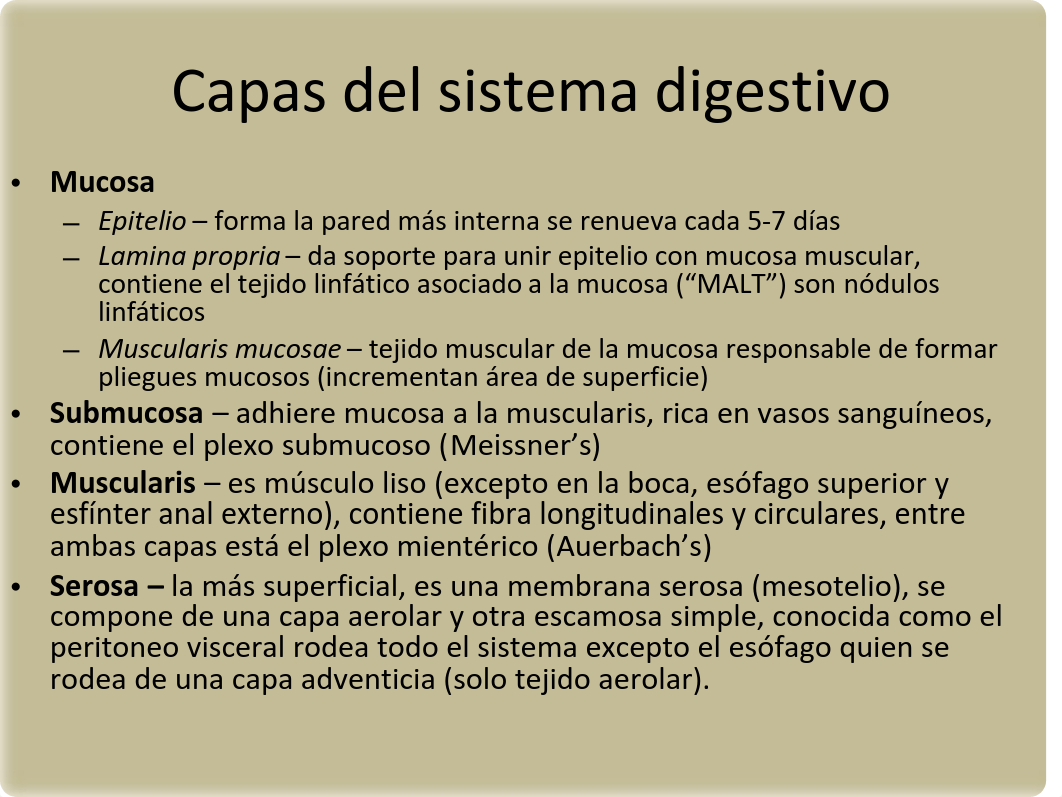 6._El_sistema_digestivo.pdf_dwg4gvvjc0s_page4