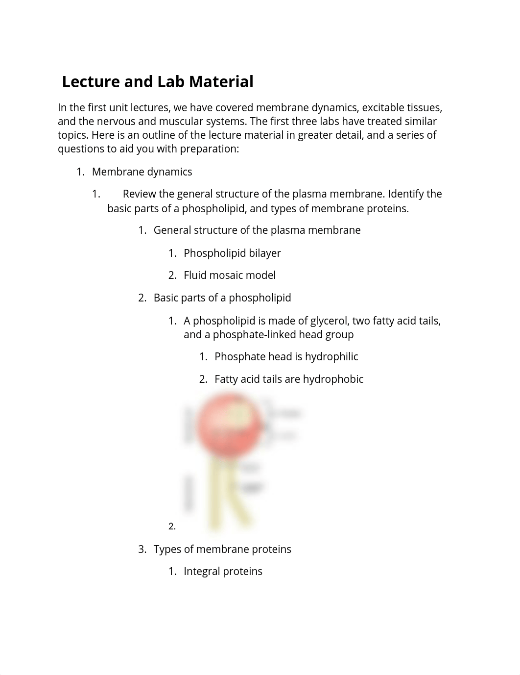 PHSL 1010 Unit 1 Exam Study Guide.docx_dwg89pxhwg7_page1