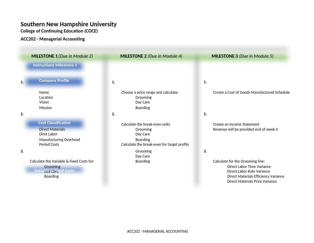 ACC 202 Final Project Workbook (1).xlsx_dwgihfvukvg_page1