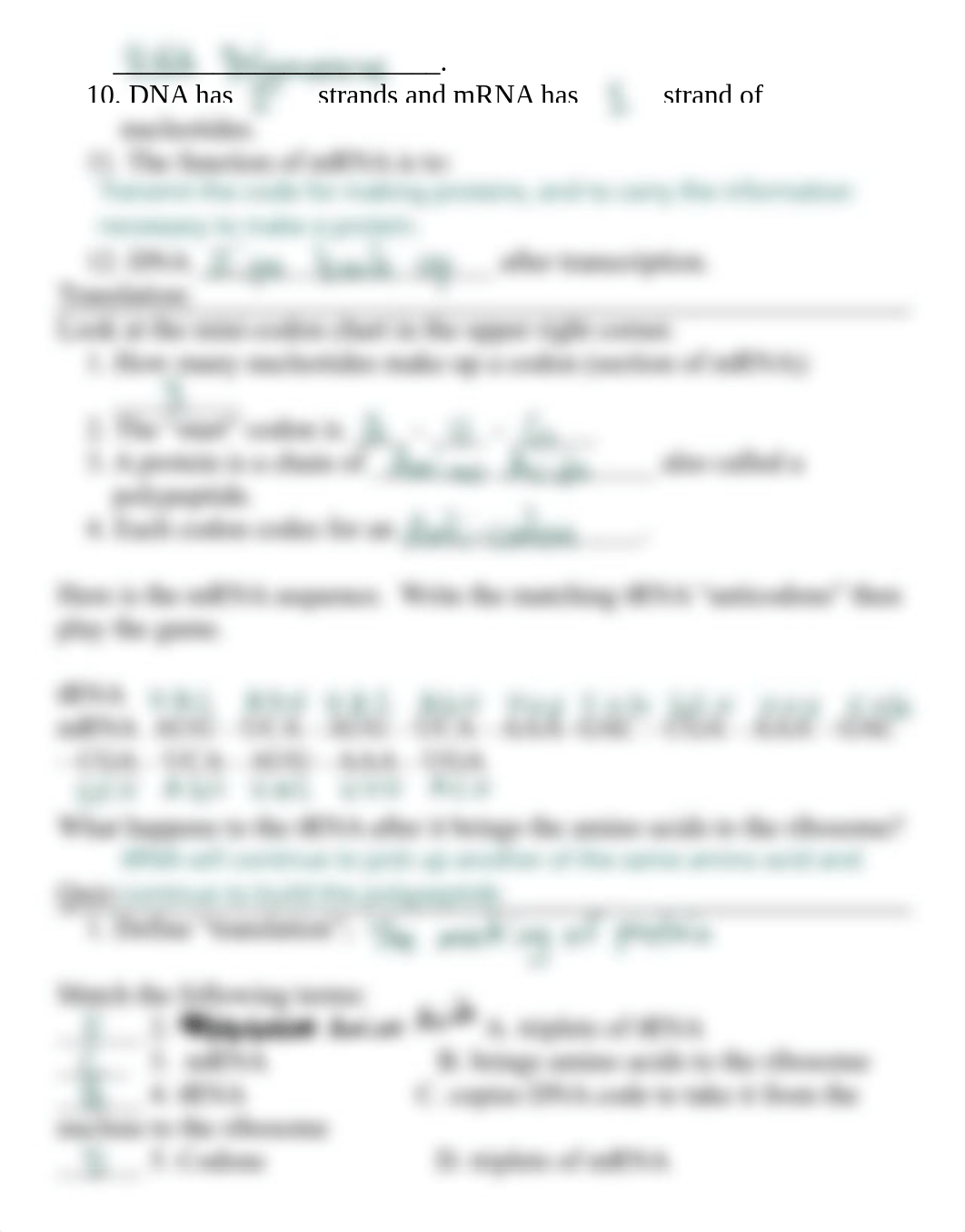 Protein+Synthesis+Race+worksheet.pdf_dwgnxu3glqu_page2