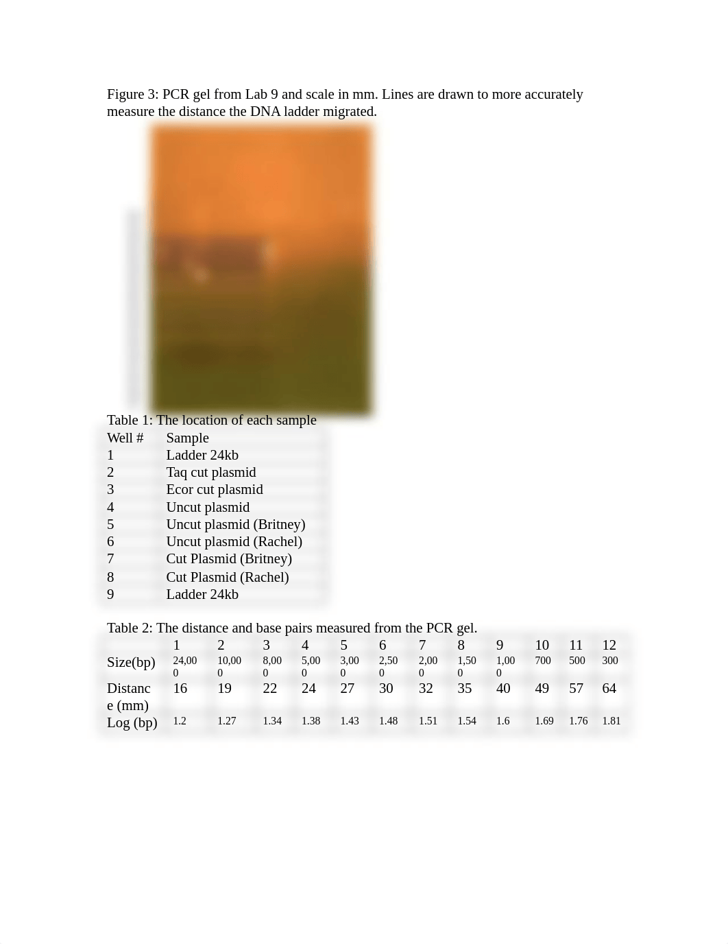 Purification_and_Restriction_Enzyme_Digest_of_Plasmid_DNA.docx_dwgyo86gr46_page2