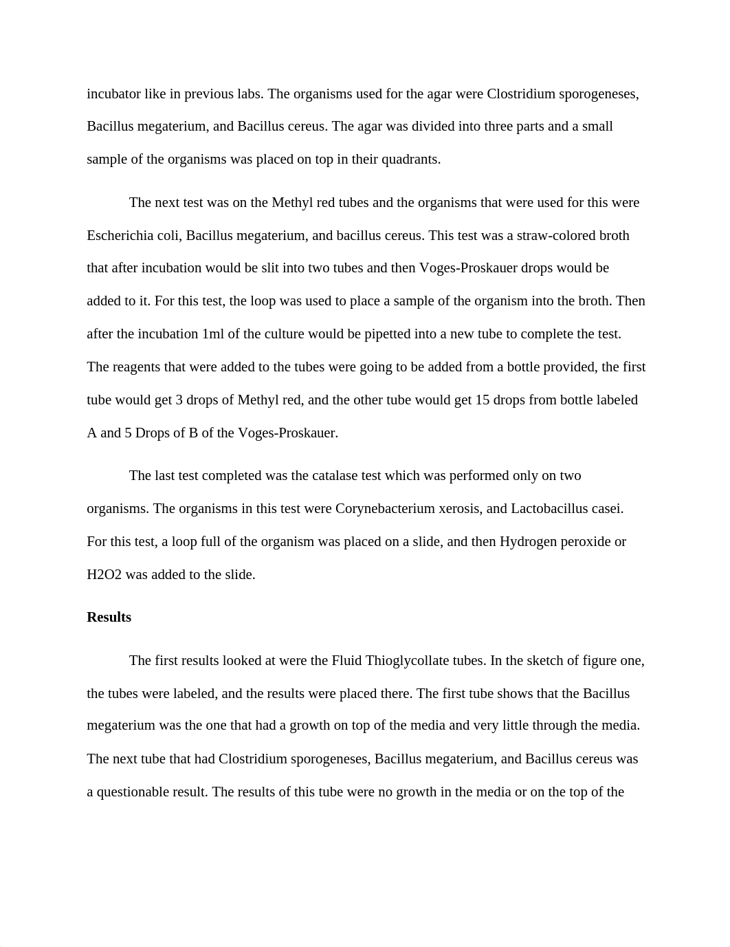 lab 17.docx_dwh5nlpi2m3_page2