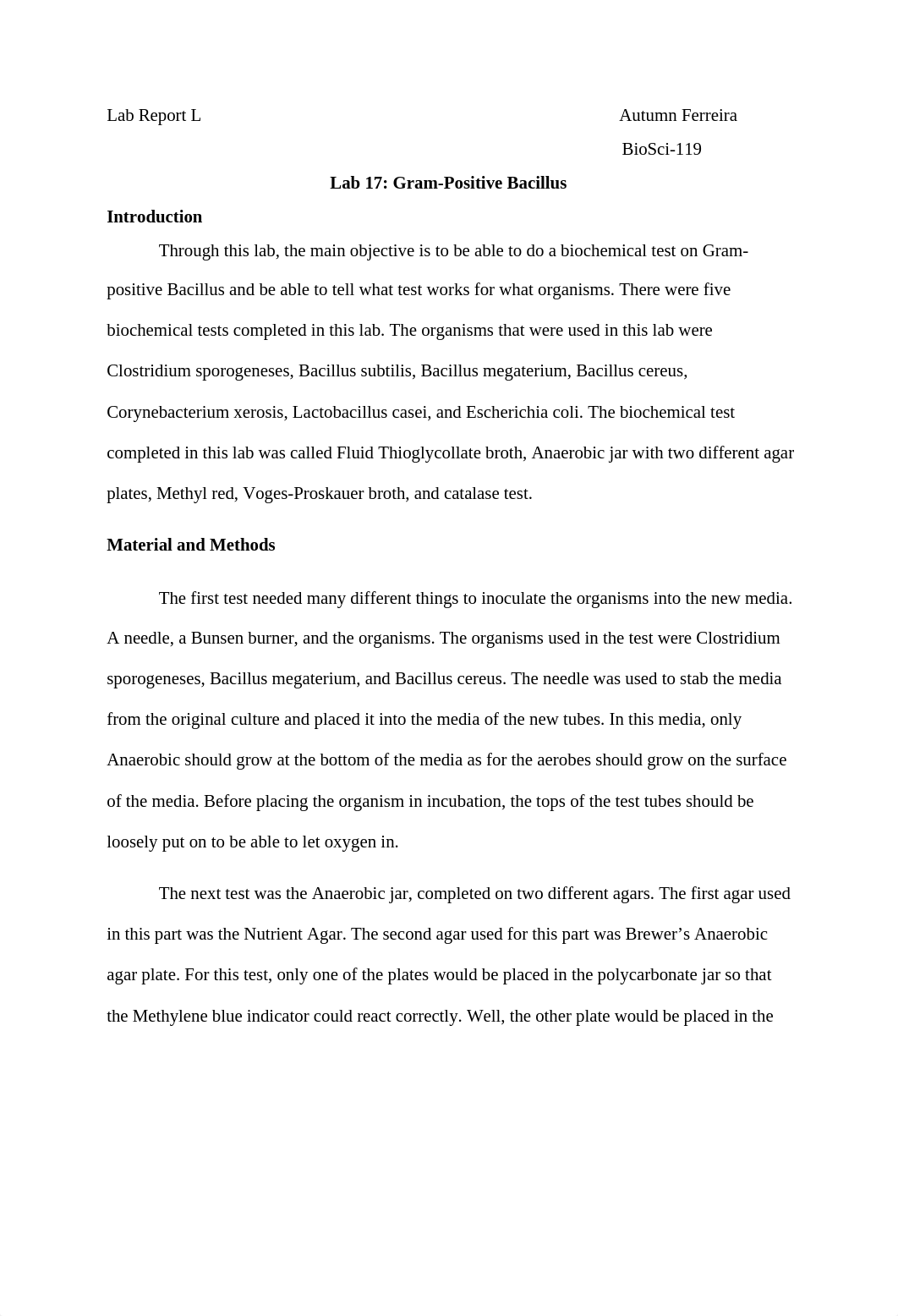 lab 17.docx_dwh5nlpi2m3_page1